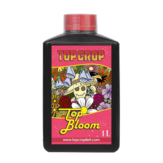 Top Bloom