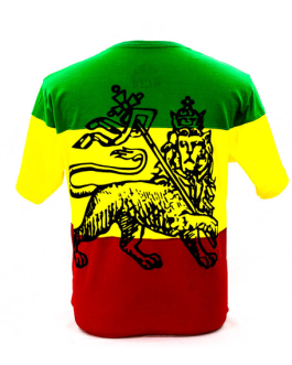 Polera Tricolor – León