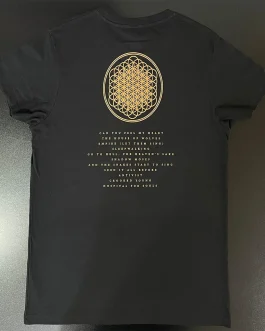 Bring Me The Horizon • Sempiternal