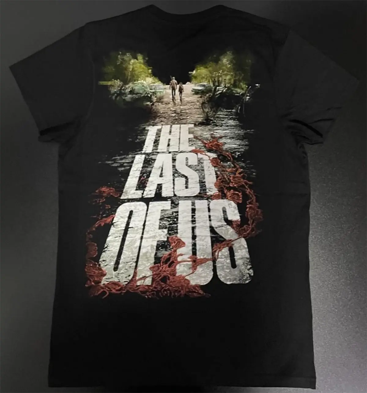 The Last of Us • - Imagen 2