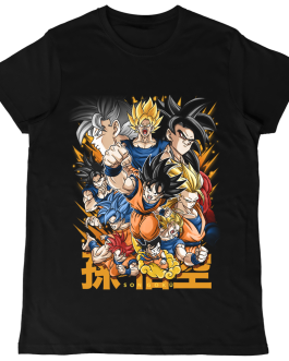DRAGON BALL • Goku Evoluciones