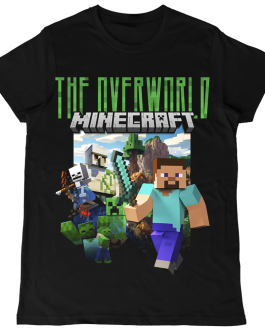 Minecraft • The overworld