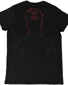 David Bowie • Aladdin Sane