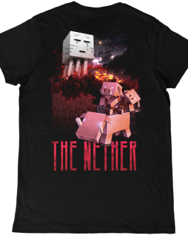 Minecraft • The overworld