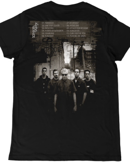 Linkin Park • Hybrid theory