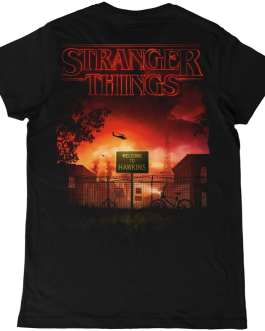 STRANGER THINGS • temporada 5